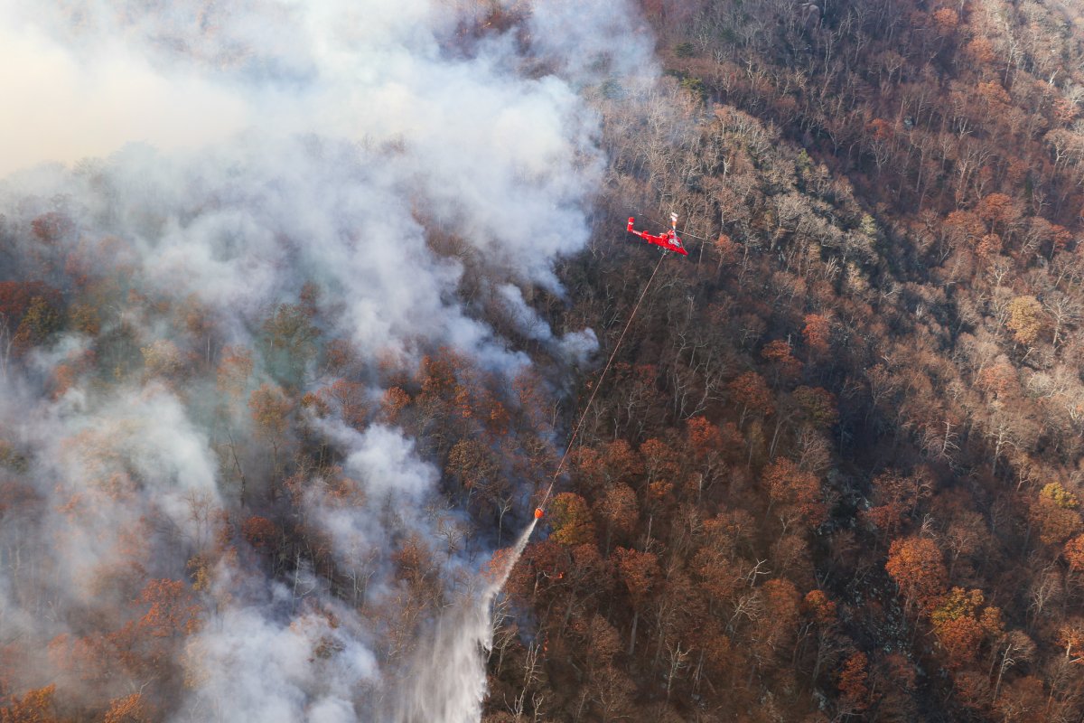 How to Help: Supporting Park Fire Victims and Firefighters